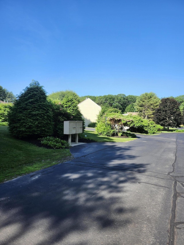 56 Hydrangea Cir Unit 10, Naples, ME 04055 - view of street