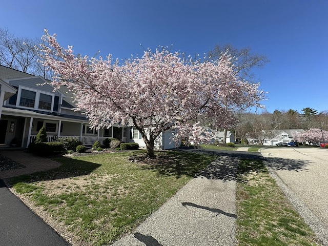 exterior space featuring driveway, covered porch, and a front yard
