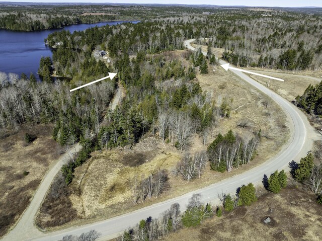 LOT19-13D Halls Mills Rd, Whiting, ME 04691 - photo 3