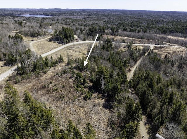 LOT19-13D Halls Mills Rd, Whiting, ME 04691 - photo 4