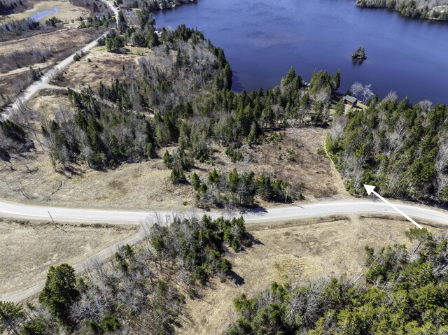 LOT19-13D Halls Mills Rd, Whiting, ME 04691 - photo 6