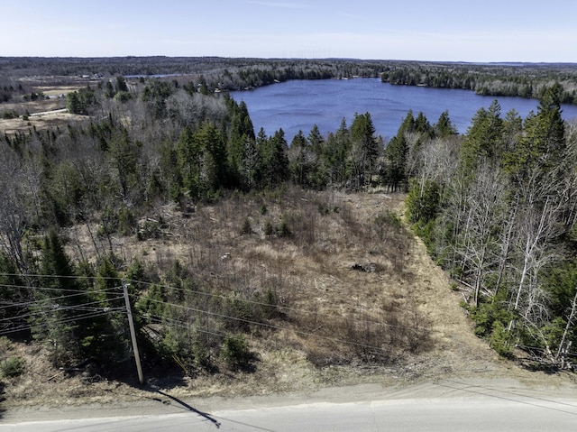 LOT19-13D Halls Mills Rd, Whiting, ME 04691 - photo 1