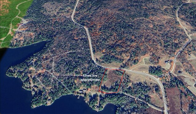 LOT19-13D Halls Mills Rd, Whiting, ME 04691 - photo 8