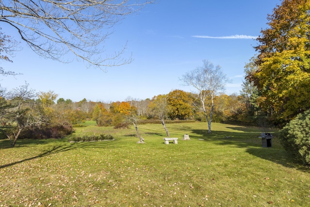 view of home's community featuring a yard