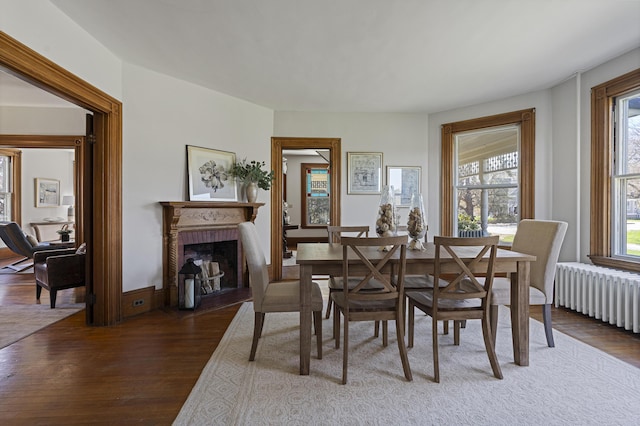 dining area with wood-type flooring, plenty of natural light, radiator heating unit, and a fireplace