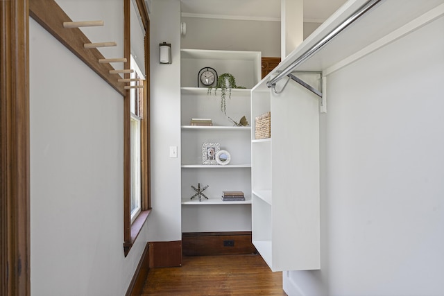 walk in closet featuring wood finished floors