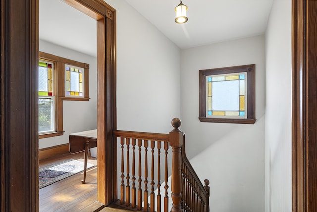 staircase with wood-type flooring and baseboards