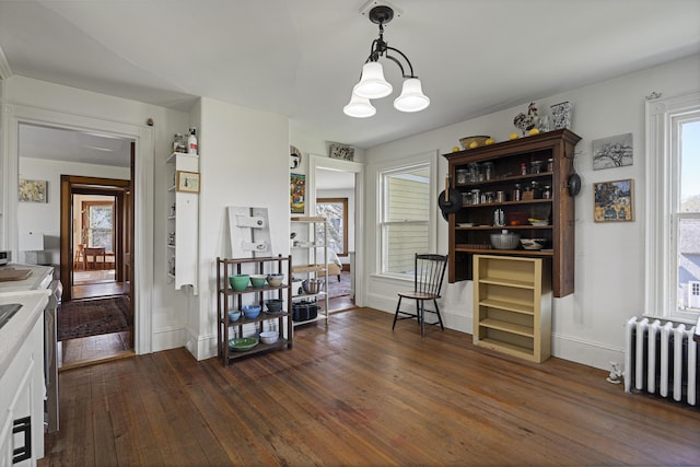 dining space featuring baseboards, a wealth of natural light, radiator, and dark wood-type flooring