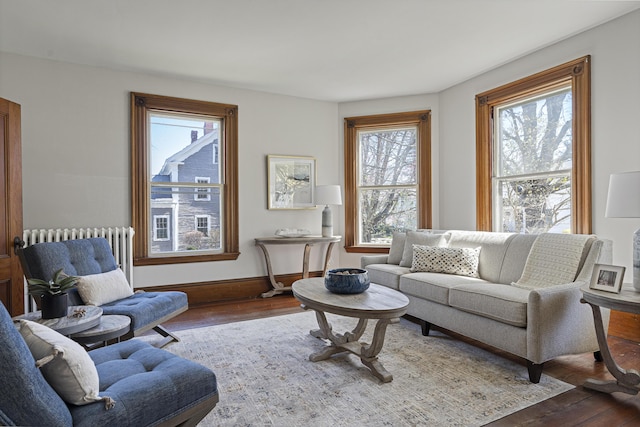 living area featuring a healthy amount of sunlight, radiator, and hardwood / wood-style floors