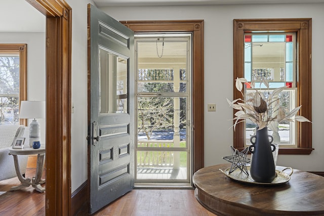 entryway featuring wood finished floors and a wealth of natural light