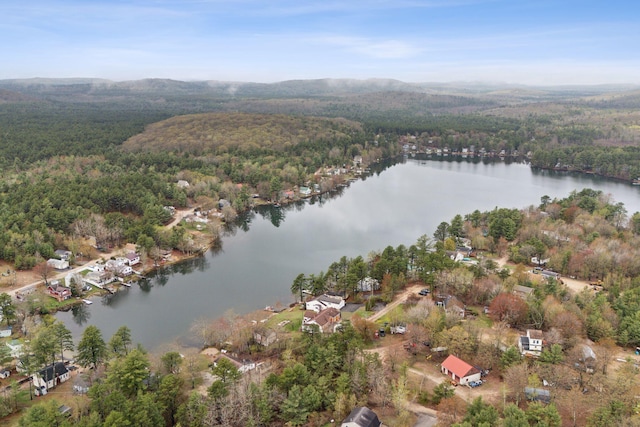 30 Swan Cir, Shapleigh, ME 04076 - aerial overview of property's location with a forest and a large body of water