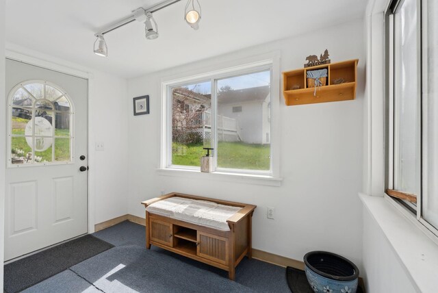 30 Swan Cir, Shapleigh, ME 04076 - entrance foyer featuring rail lighting and baseboards