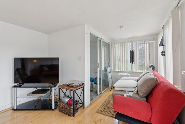 30 Swan Cir, Shapleigh, ME 04076 - living room featuring wood finished floors