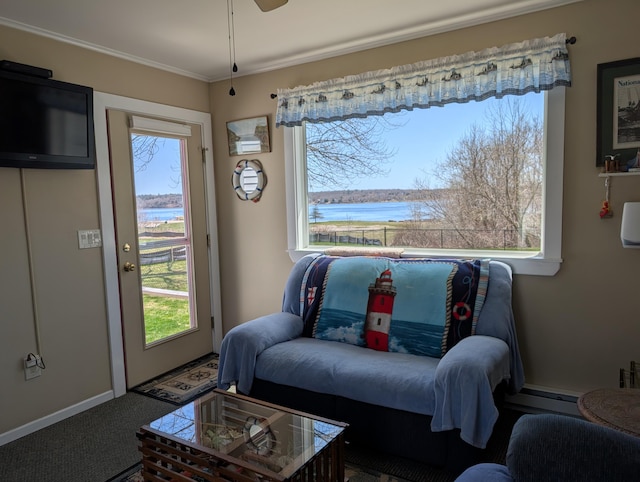 sitting room featuring a water view, carpet, a baseboard heating unit, and a wealth of natural light