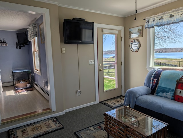 living area with a baseboard radiator, carpet, and a wealth of natural light