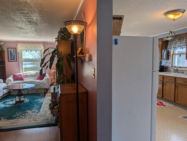 hall with plenty of natural light, a sink, and a textured ceiling