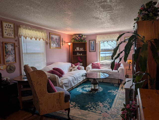 living room featuring a textured ceiling