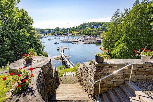 dock area with a water view