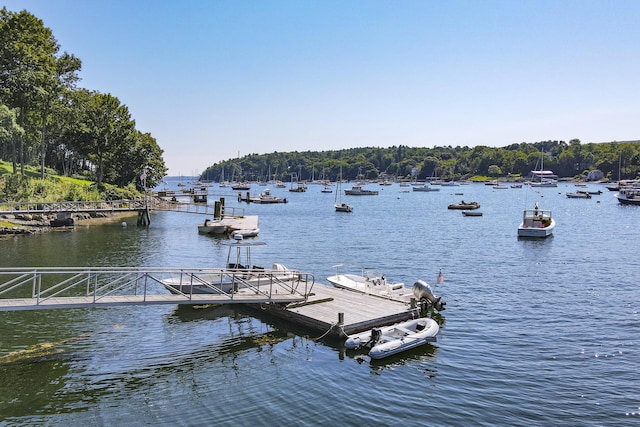 dock area featuring a water view