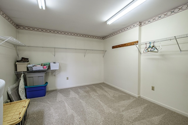 walk in closet featuring carpet floors