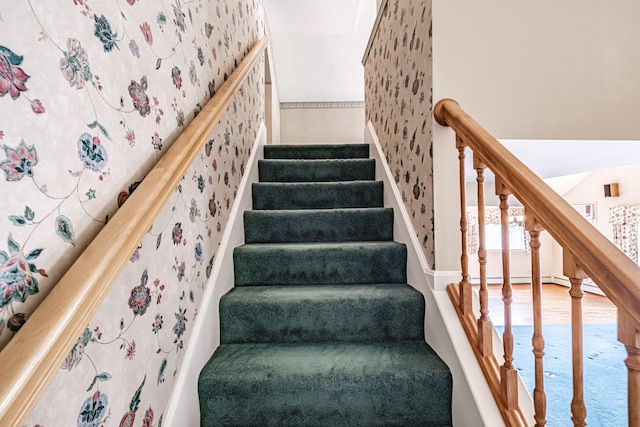 stairs featuring carpet floors