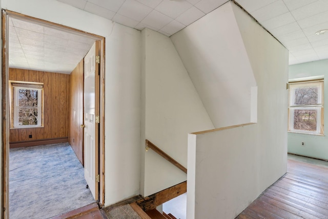 hall featuring wooden walls, an upstairs landing, a paneled ceiling, and hardwood / wood-style floors
