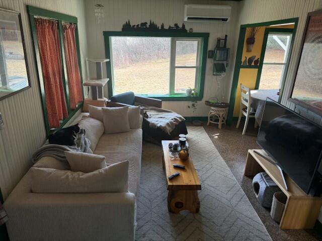 living room featuring a wall unit AC