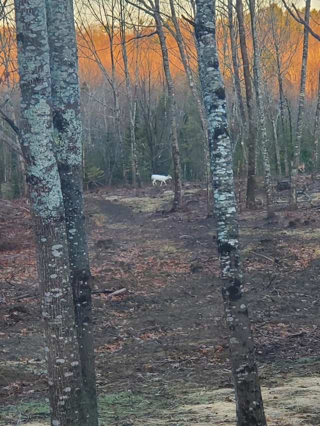 66 Balsam Dr, Windsor, ME 04363 - view of local wilderness