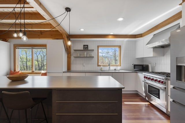 kitchen with stainless steel appliances, plenty of natural light, ventilation hood, a sink, and recessed lighting