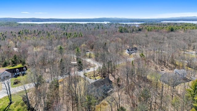 bird's eye view featuring a water view and a view of trees