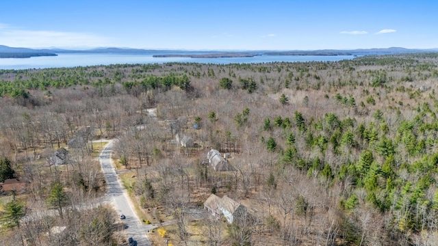 birds eye view of property with a water and mountain view