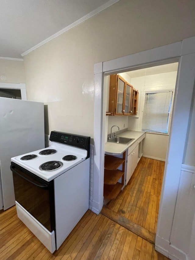 kitchen featuring a sink, crown molding, electric range, and light wood-style flooring