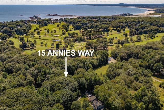 drone / aerial view with a water view and a wooded view