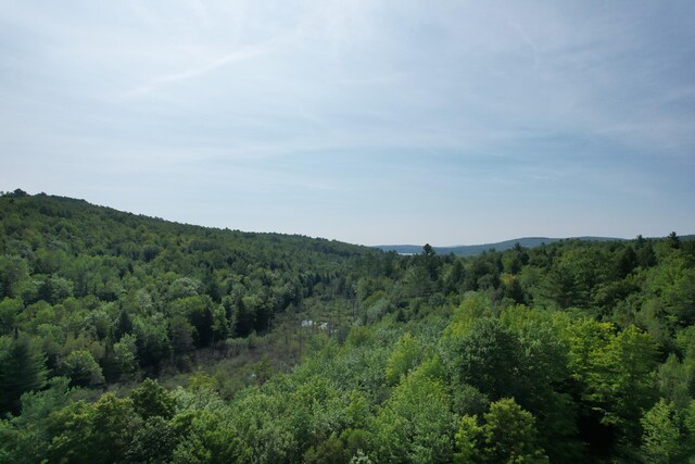 LotsB Hanslip Road, Wilton, ME 04294