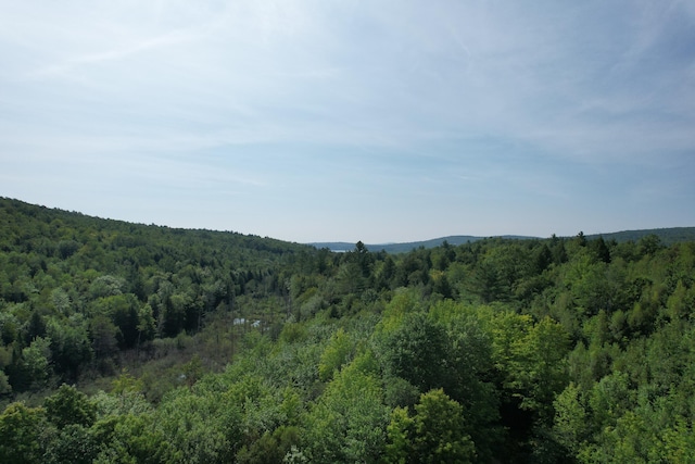 LotsB Hanslip Road, Wilton, ME 04294