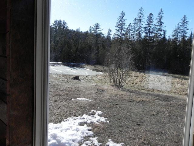 view of yard featuring a forest view
