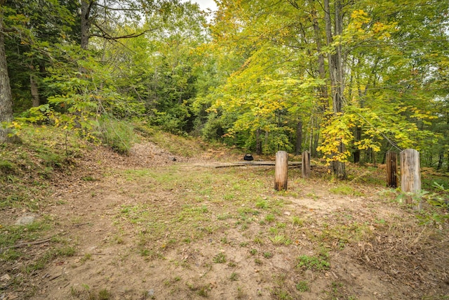 view of landscape with a wooded view