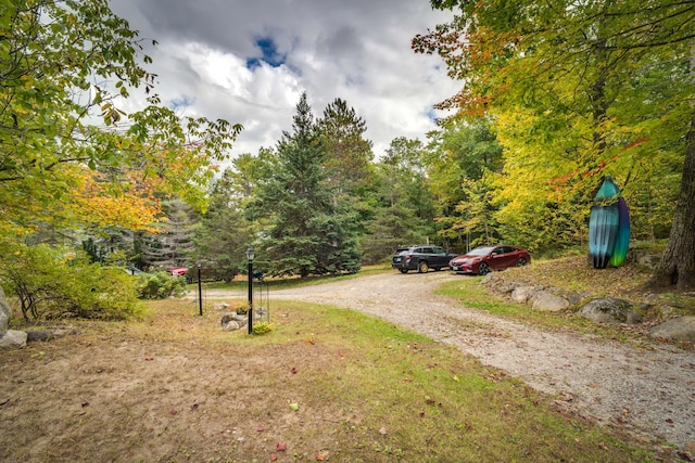 view of street featuring a wooded view