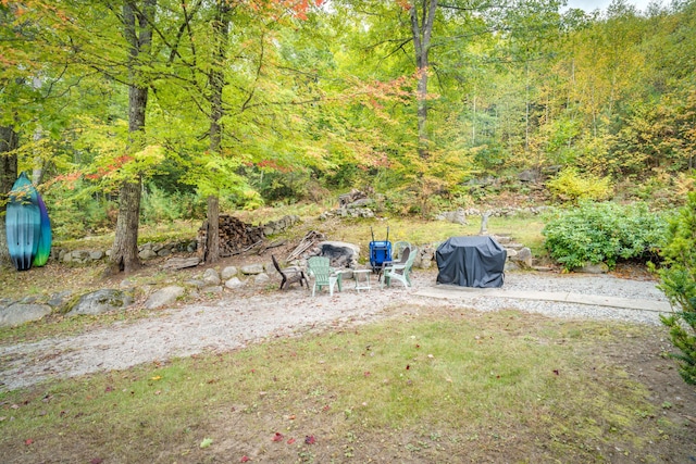 view of yard with a wooded view