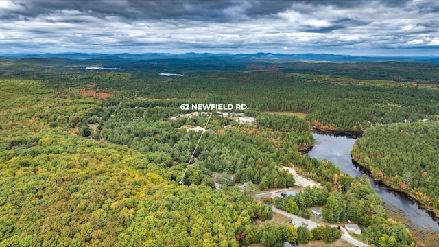 bird's eye view with a view of trees and a water and mountain view