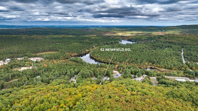 birds eye view of property featuring a water view and a forest view