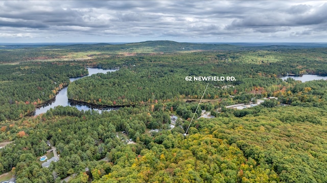 aerial view featuring a water view and a wooded view