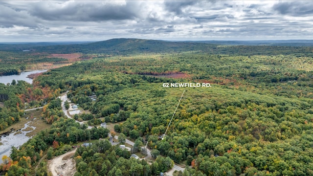 drone / aerial view featuring a water view and a wooded view