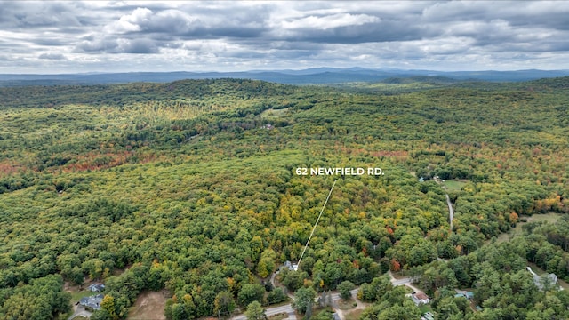 bird's eye view featuring a view of trees and a mountain view