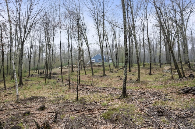 29 Hawks Nest Ln, Wells, ME 04090 - view of local wilderness