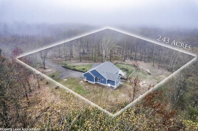 29 Hawks Nest Ln, Wells, ME 04090 - view of subject property with a heavily wooded area
