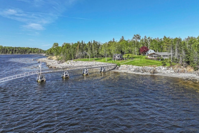 1588 Turtle Head Rd, Islesboro, ME 04848 - water view with a forest and a dock
