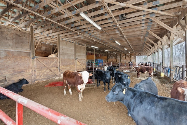 view of horse barn
