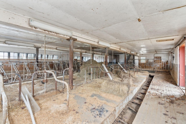 view of stable