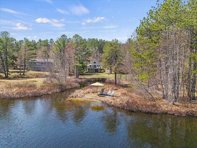 property view of water featuring a view of trees
